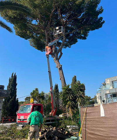  Élagueurs paysagistes à Vallauris (06220) - M-Bourgois dans les Alpes-Maritimes (06)