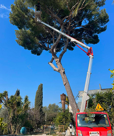  Élagueurs paysagistes à Vallauris (06220) - M-Bourgois dans les Alpes-Maritimes (06)
