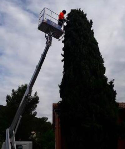 Entreprise d'élagage à Vallauris (06220) et à Vallauris (06220) dans les Alpes Maritimes (06)