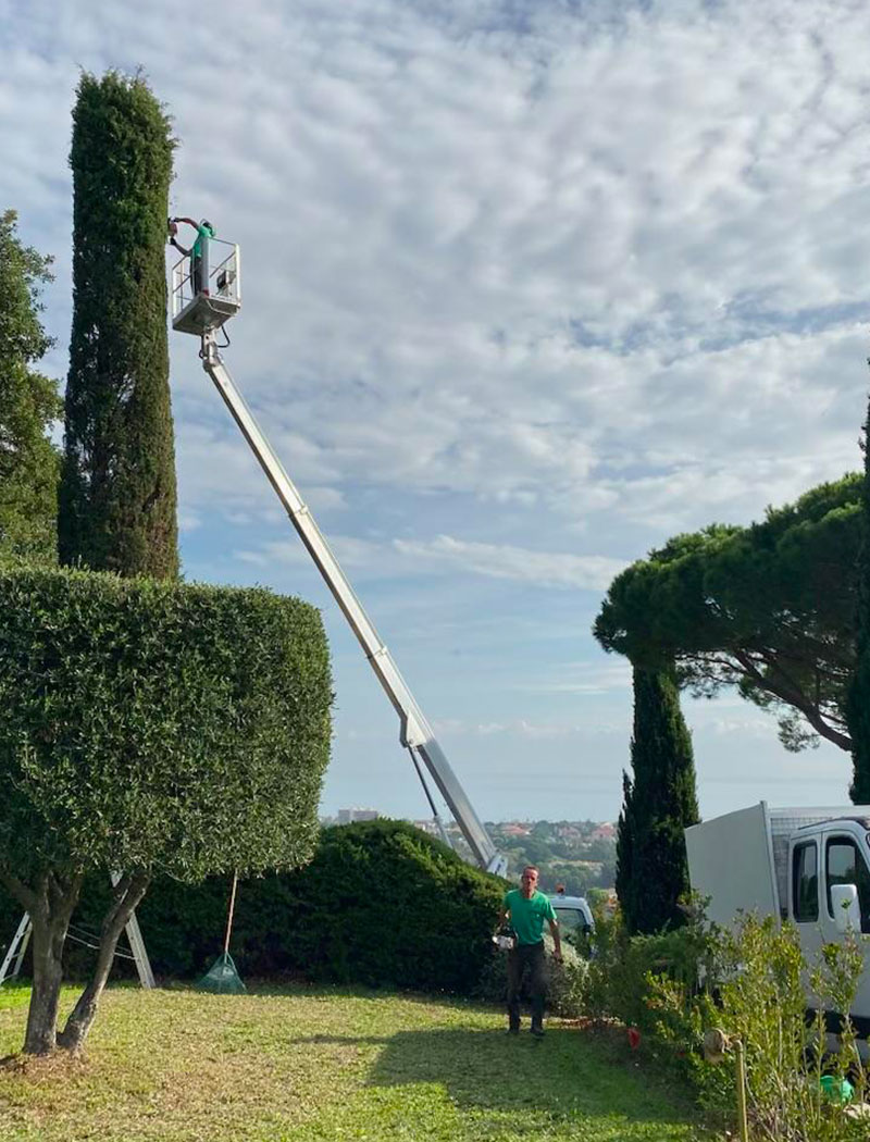 Artisans paysagistes et jardiniers à Vallauris (06220) dans les Alpes Maritimes (06)